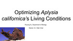 Optimizing Aplysia californica's Living Conditions