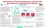 Determination of Potential Azotobacter vinelandii Bacteriophage Gene Sequences: A Bioinformatics Approach